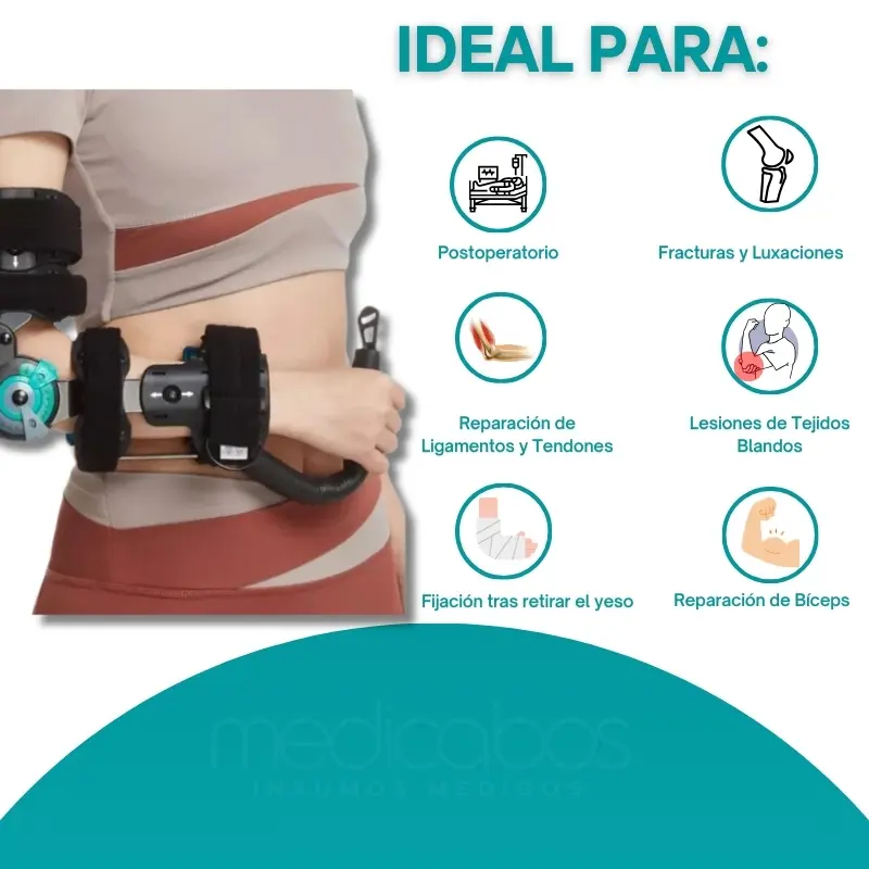 2FERULAARTICULADAPARAELCODO.webp