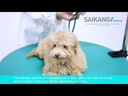 Mesa de aseo para mascotas hidraulica