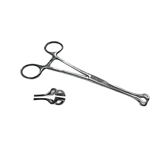 [5-76] Pinza Babcock Recta, Fenestrada, Con Cremallera. 18 Cm. H.S.