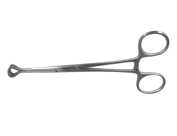 [5-77] Pinza Babcock Recta, Fenestrada, Con Cremallera. 23 Cm. H.S.