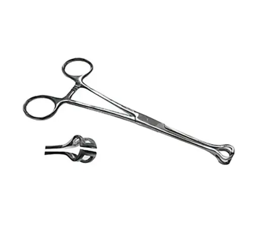 Pinza Babcock Recta, Fenestrada, Con Cremallera. 23 Cm. H.P.