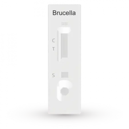 [IBA-402] Brucella - Certum