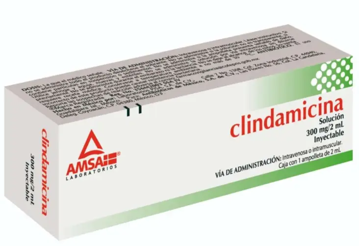 Clindamicina 300 Mg Solución Inyectable 2 Ml