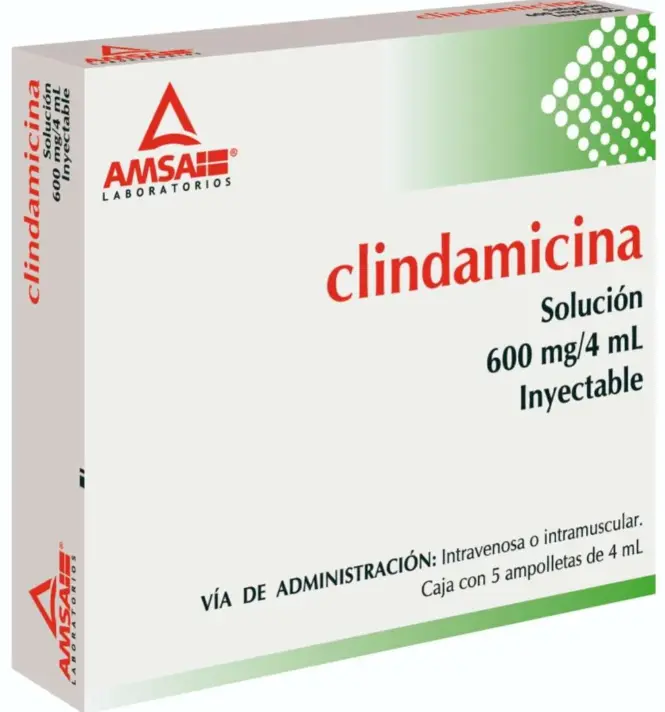 Clindamicina 600 Mg 5 Ampolletas 4 Ml