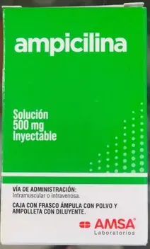 Ampicilina 500mg Iny 2ml Amp C1 Gi