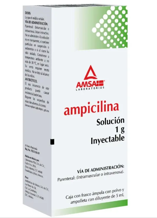 Ampicilina 1gr / 5ml C/1 Amp