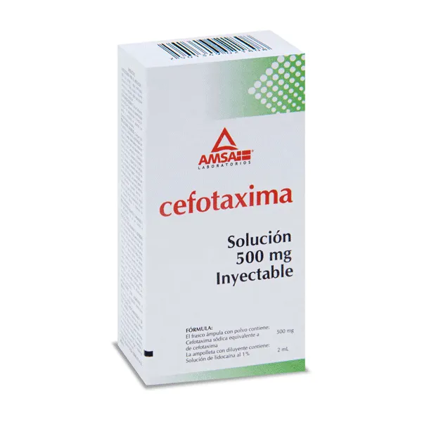Cefotaxima I.V. 1 FA 1G/4ml Amsa