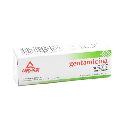 Gentamicina 160 Mg Solución Inyectable 2 Ml Genérico Amsa